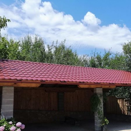 דירות סליסטה דרזניקו House Mihaela&Nina מראה חיצוני תמונה