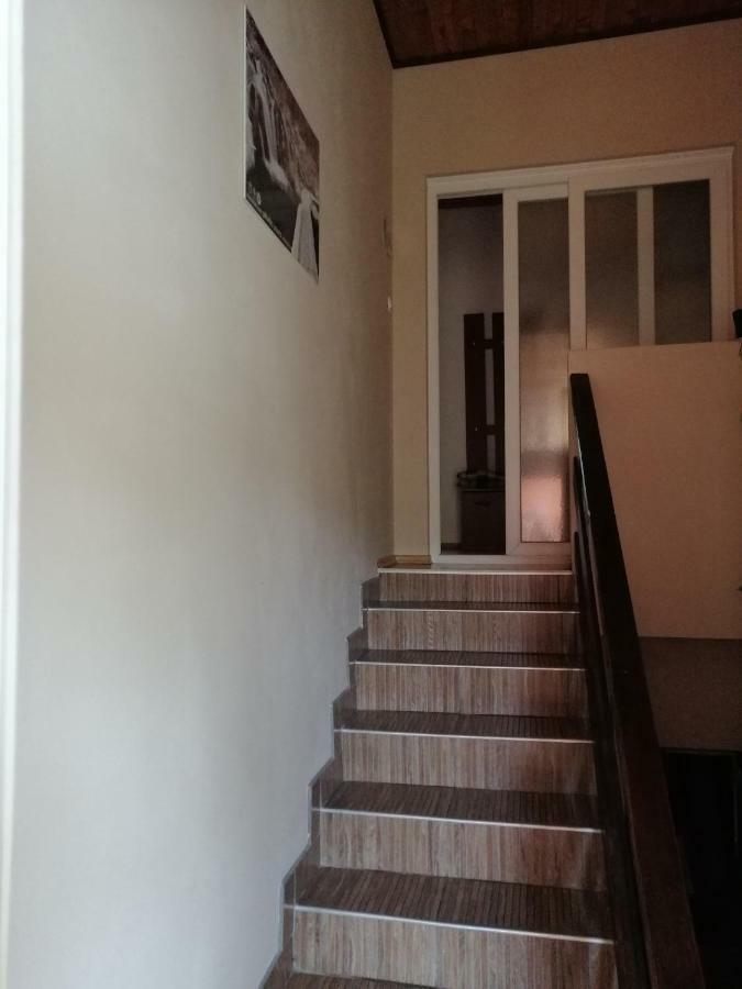 דירות סליסטה דרזניקו House Mihaela&Nina מראה חיצוני תמונה